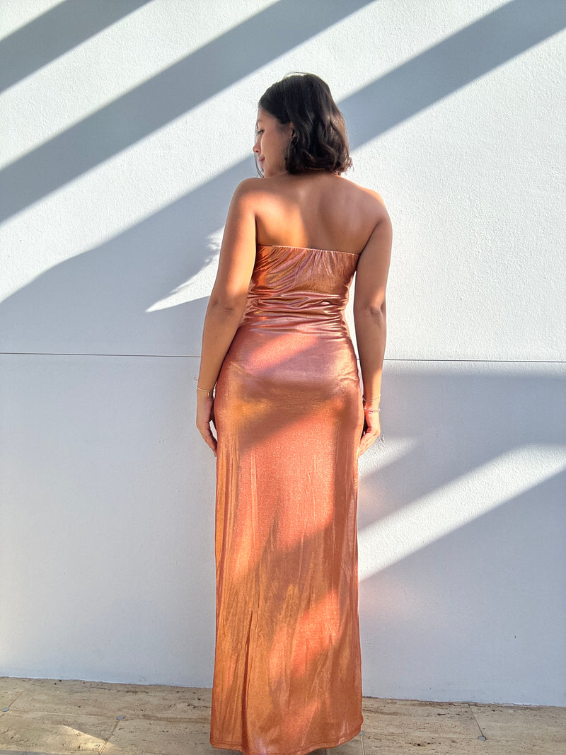 Strapless Bias Cut Maxi Dress