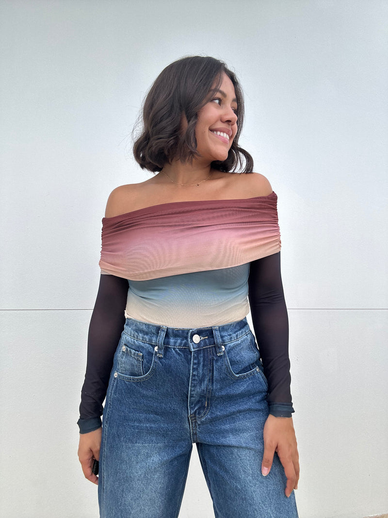 Off Shoulder Mesh Long Sleeve Top