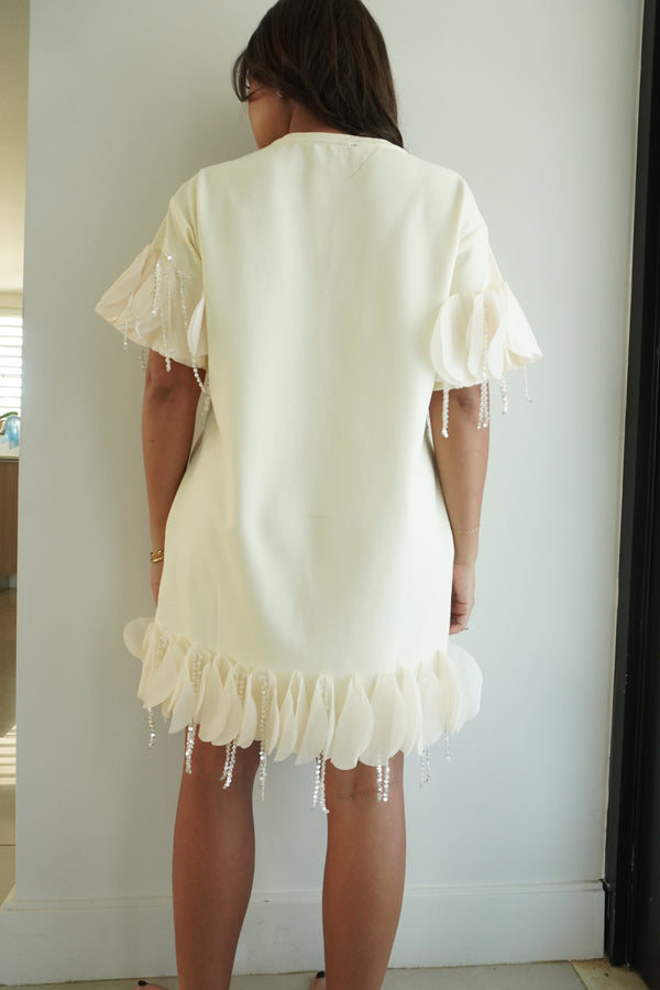 Circular Ruffle Appliques Relaxed-fit Mini Dress