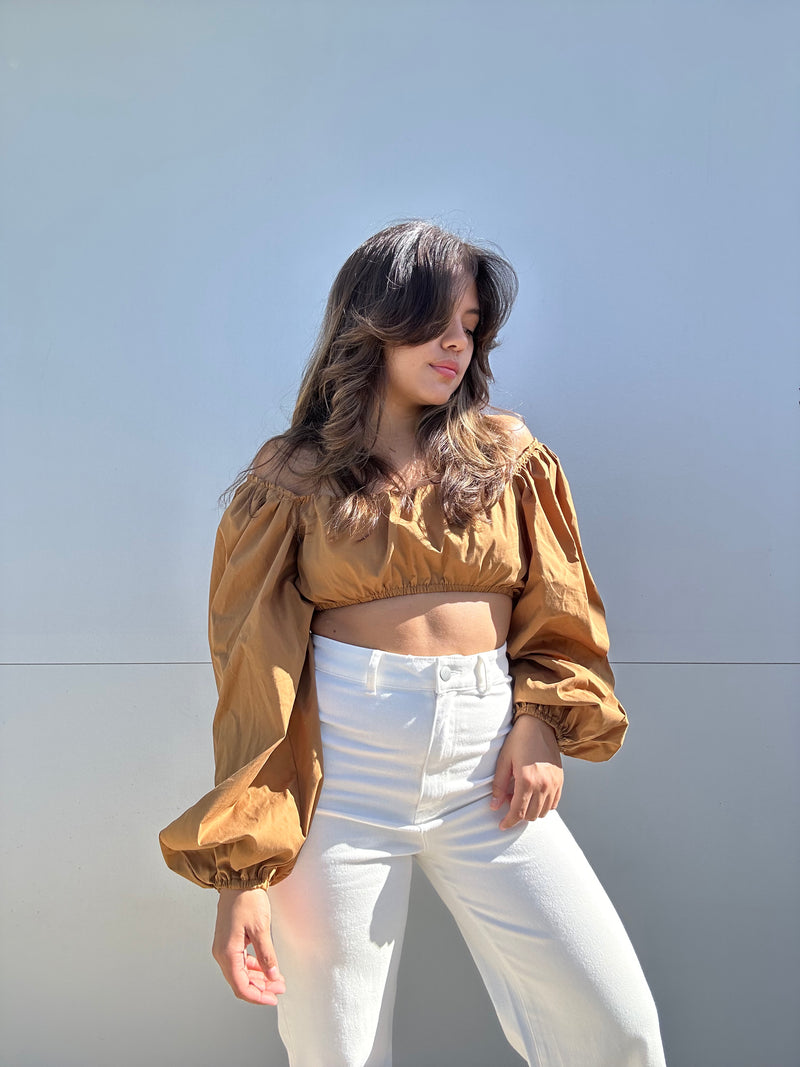 Balloon sleeves cropped top